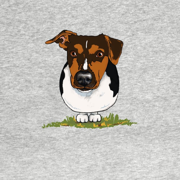 Jack Russell Terrier by archiesgirl